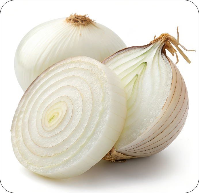 Fresh Red Onion